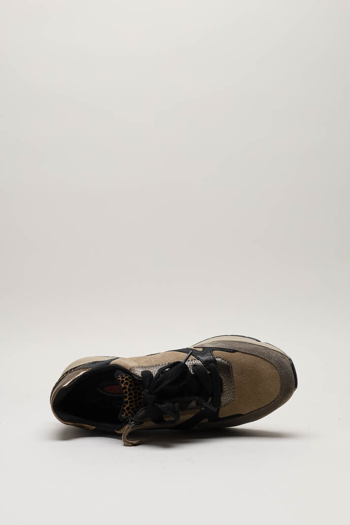 zoom in on Bruin Sneaker image Bruin Sneaker image