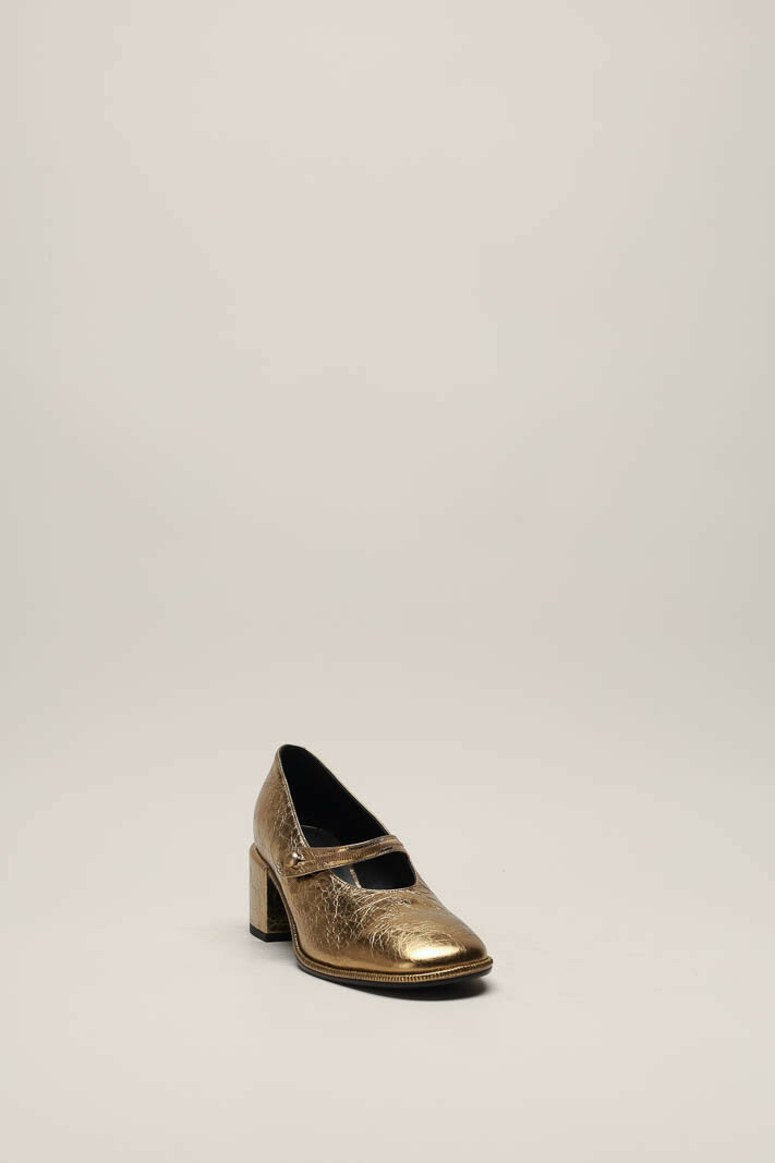 zoom in on Goud Pump image Goud Pump image