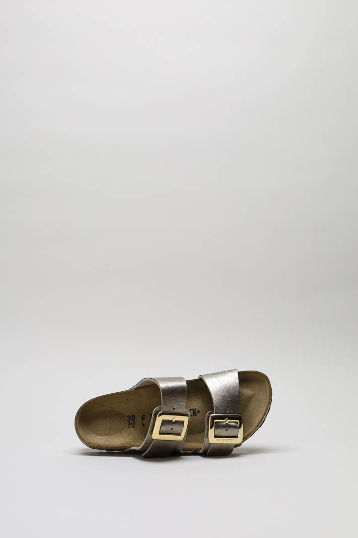 zoom in on Platina Slipper image Platina Slipper image