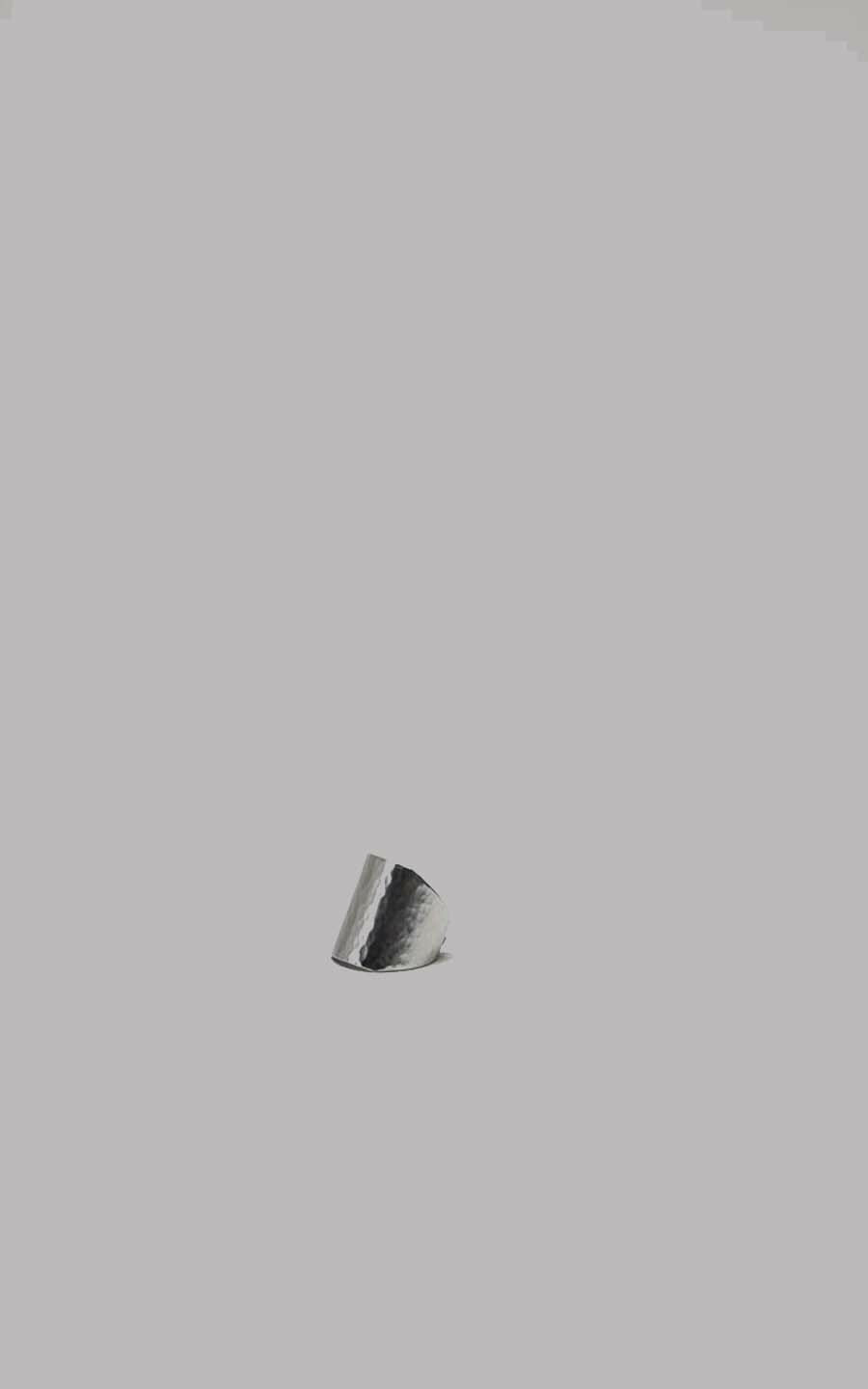 Zilver Ring