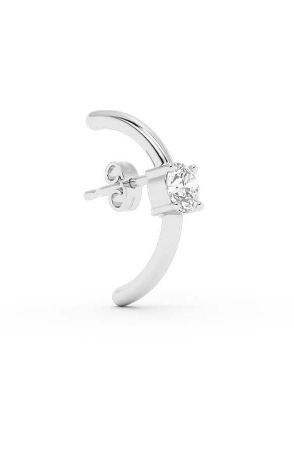 Zilver Oorbellen