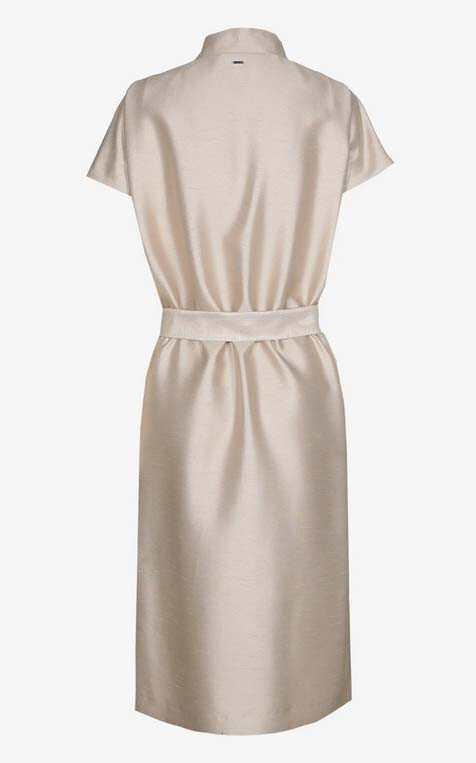 Champagne Jurk image