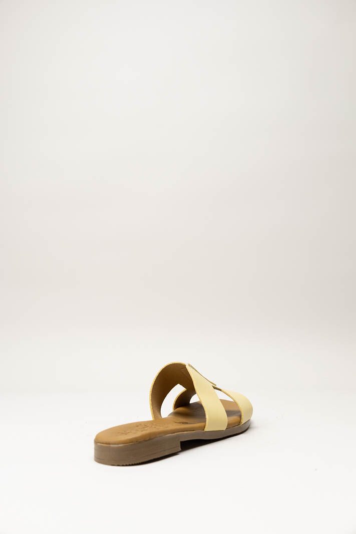 Geel Slipper image