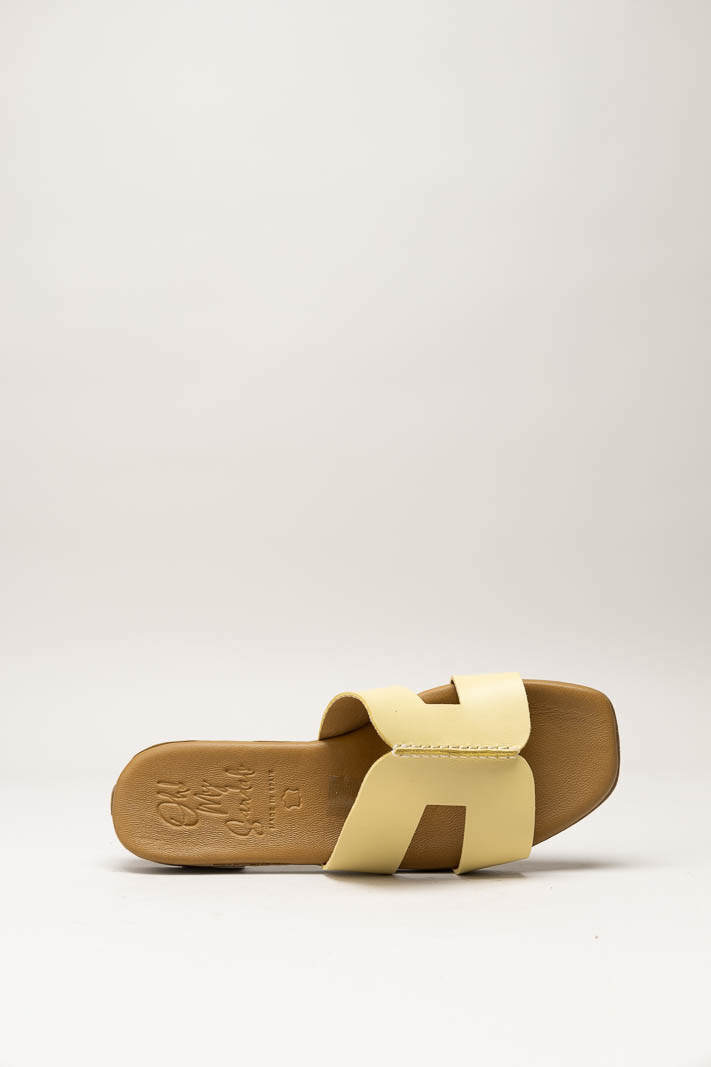Geel Slipper image