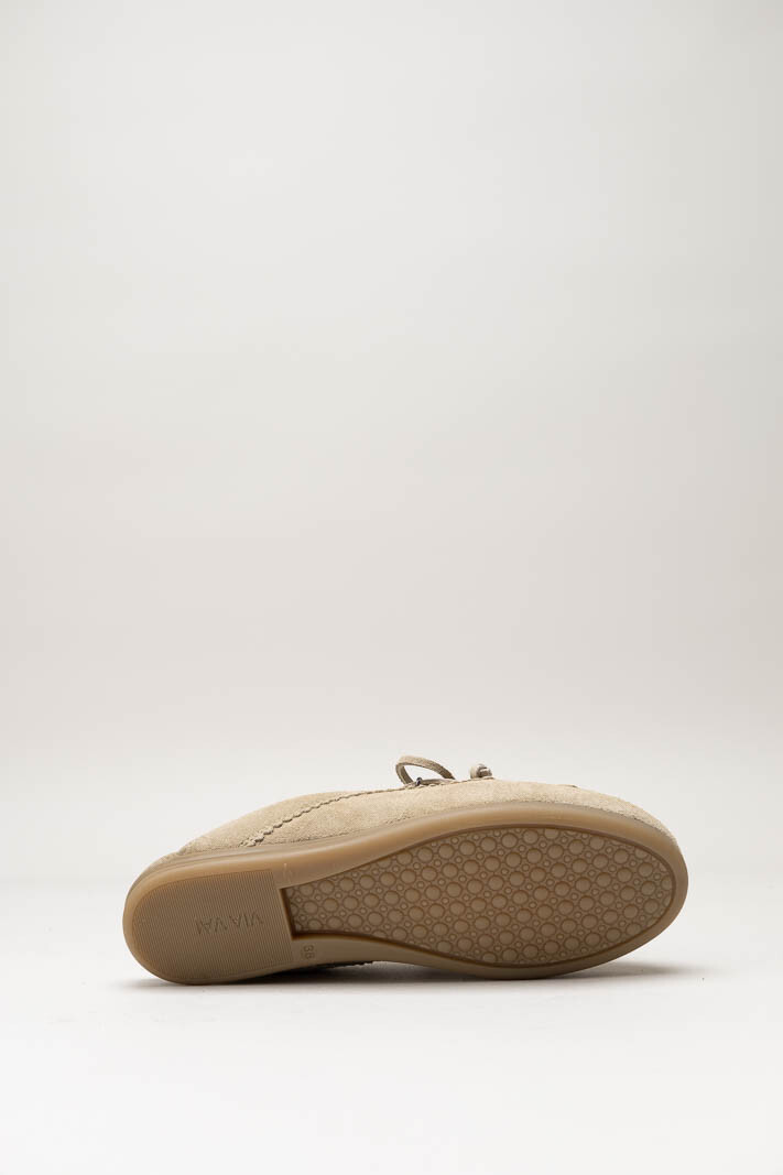Taupe Muiltje image