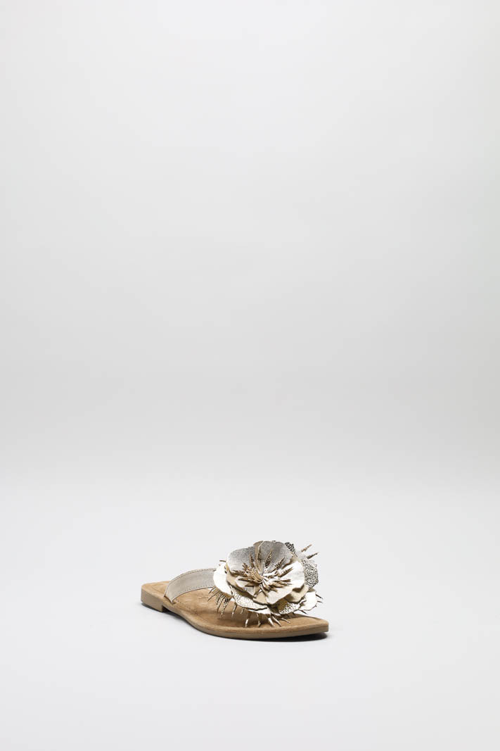 zoom in on Goud Slipper image Goud Slipper image