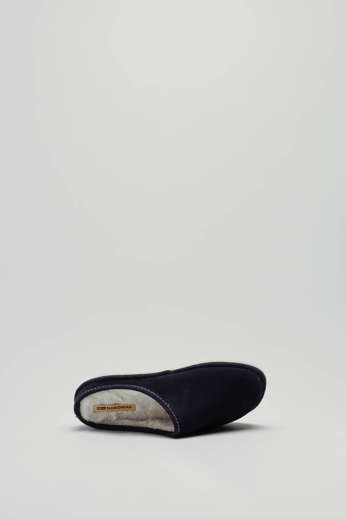 zoom in on Blauw Pantoffel image Blauw Pantoffel image