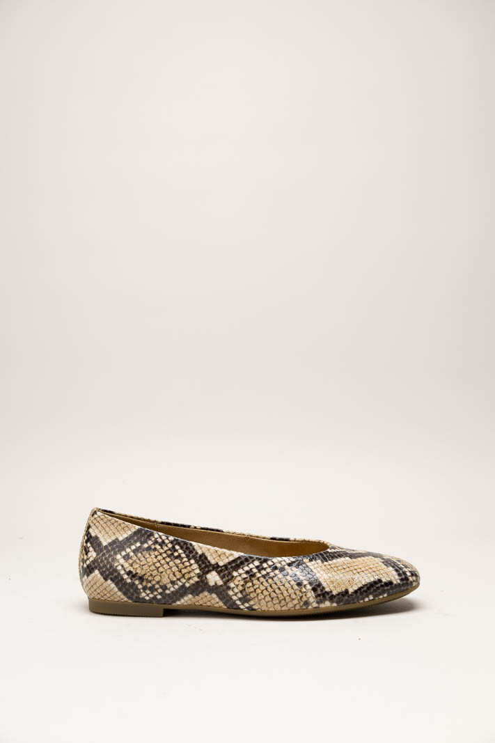 Greige Ballerina image