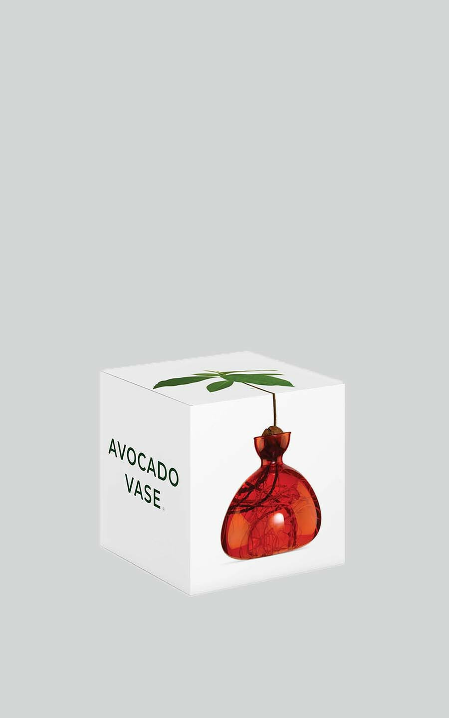 Rood Woonaccessoires