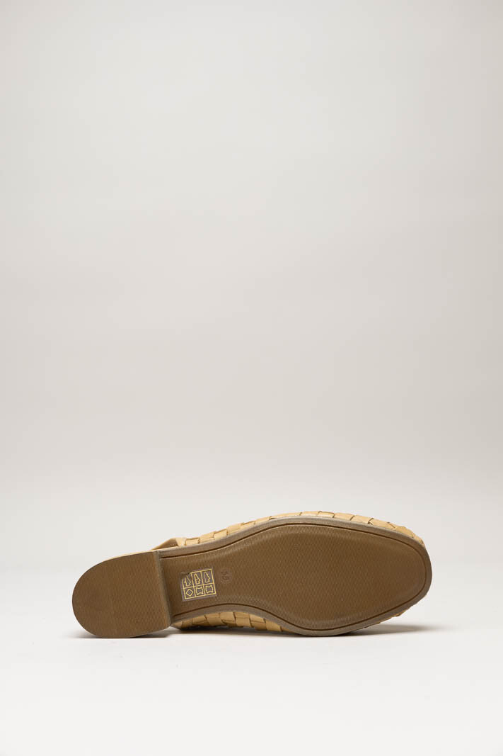Camel Ballerina image