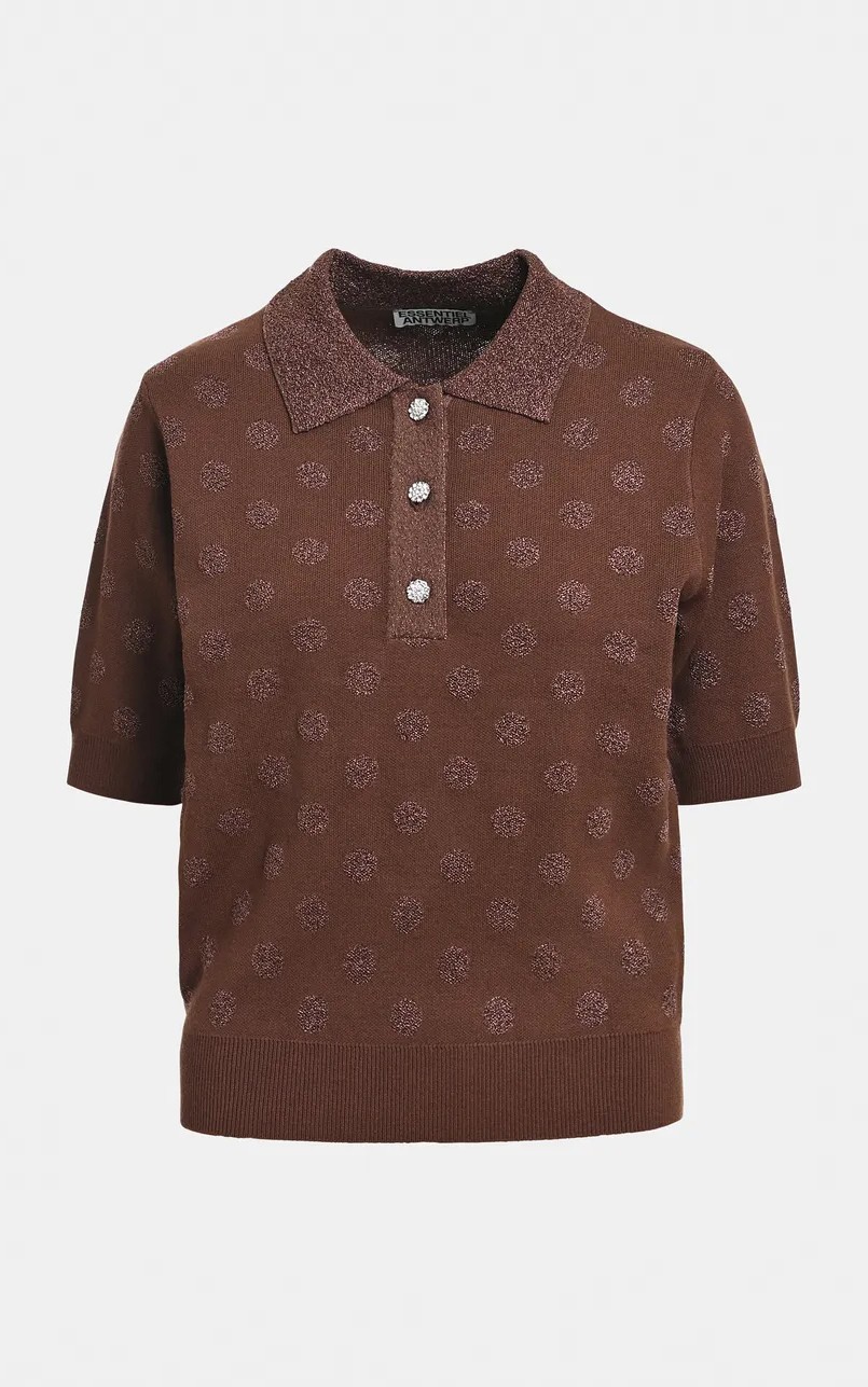 Bruin Polo image