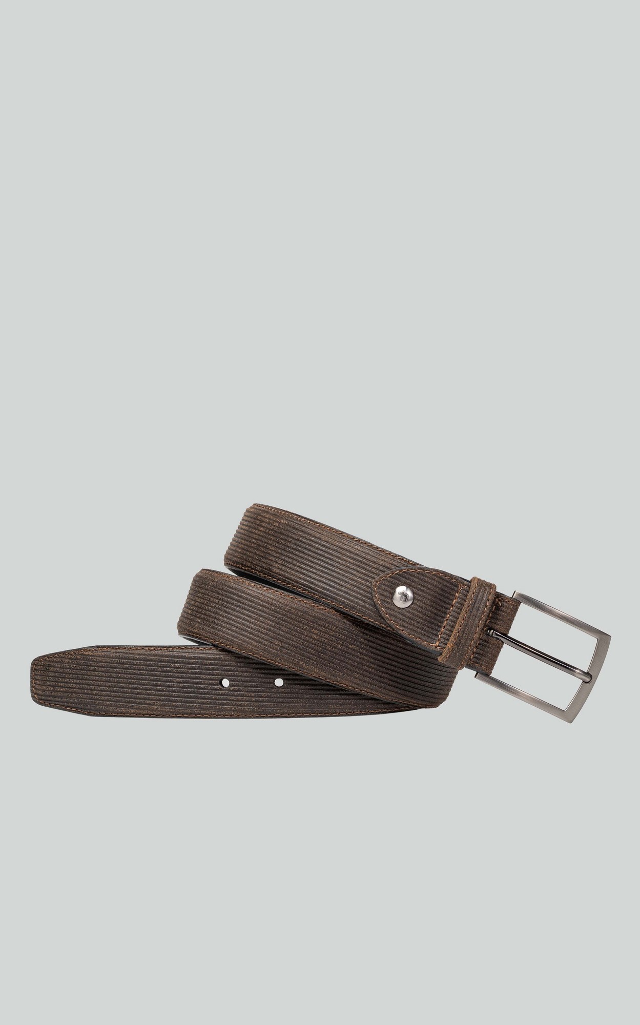 Bruin Riem