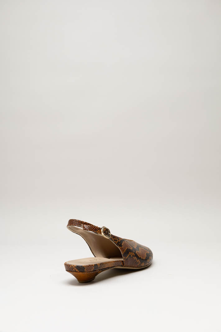 Roestbruin Ballerina image