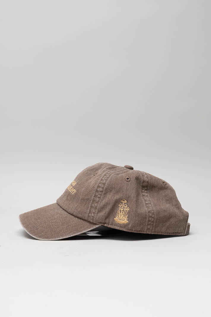 Lichtbruin Pet image