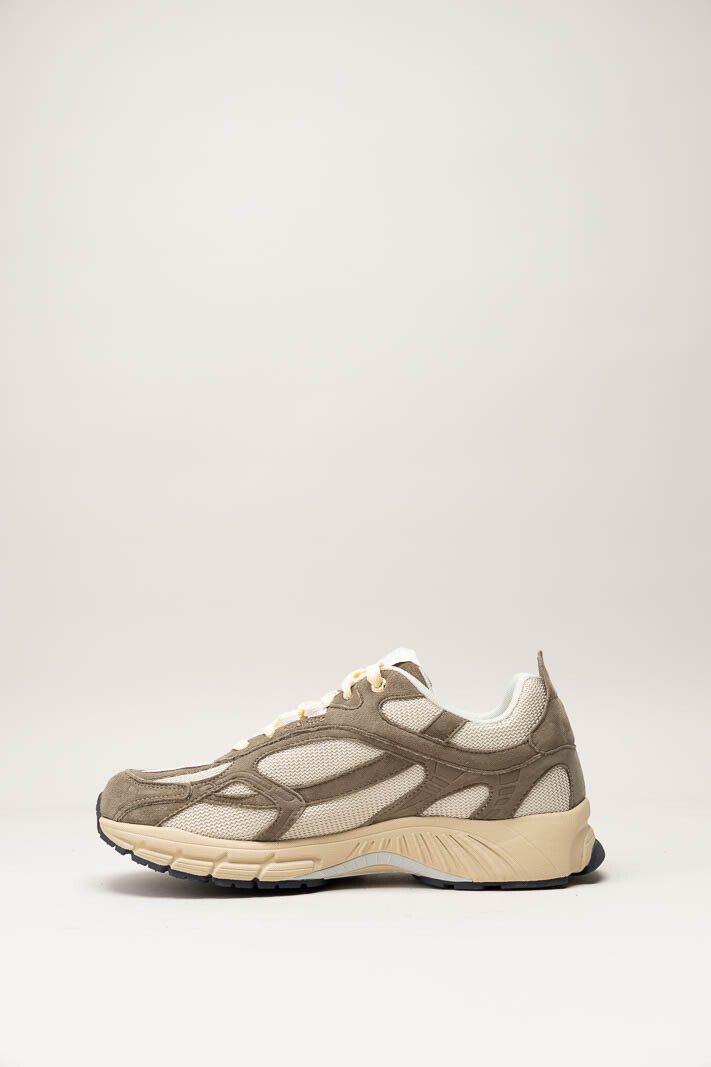 Bruin Sneaker image