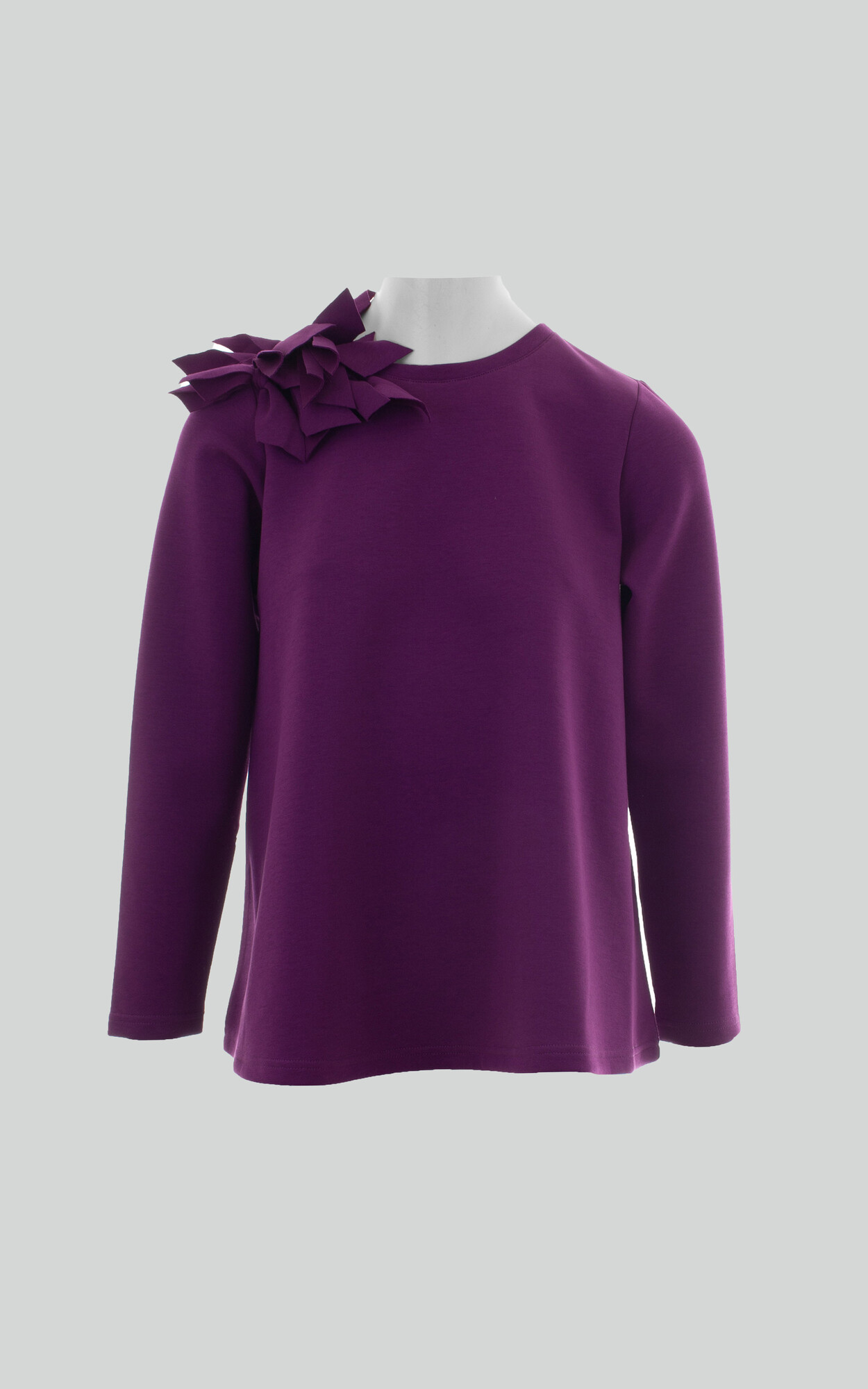 Paars Blouse