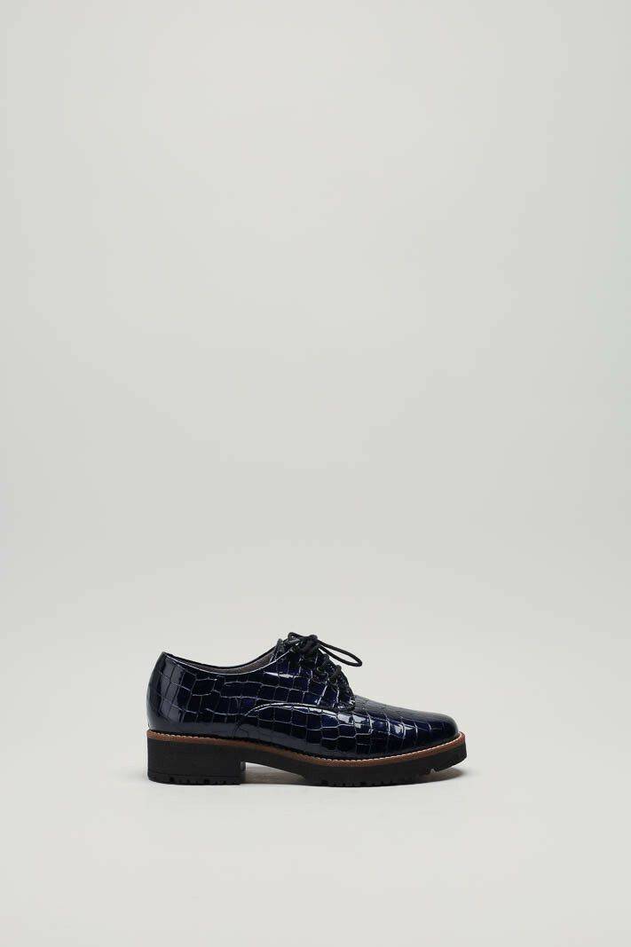 zoom in on Blauw Veterschoen image Blauw Veterschoen image