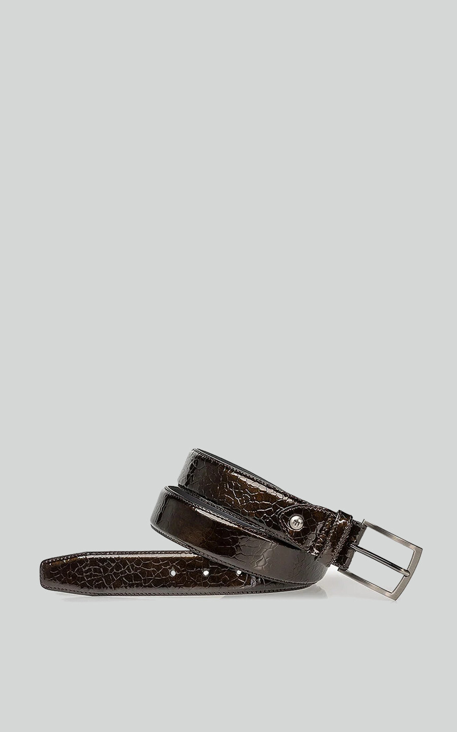 Bruin Riem