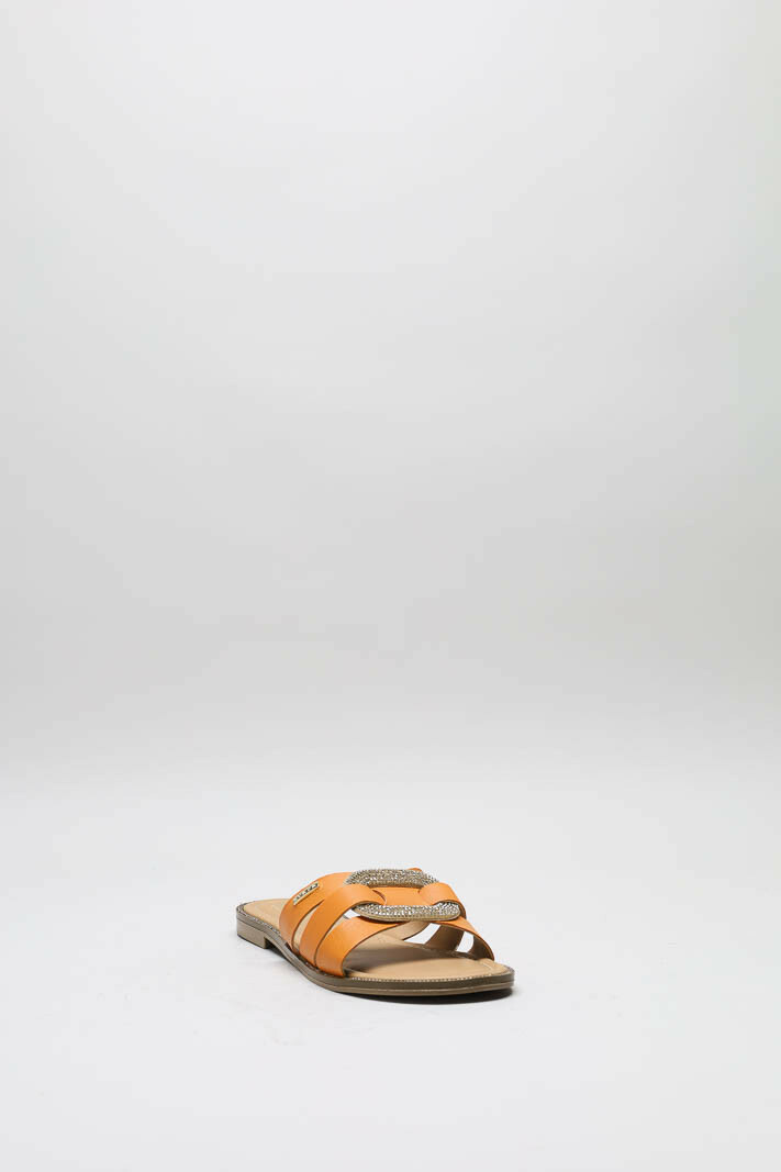 zoom in on Oranje Slipper image Oranje Slipper image