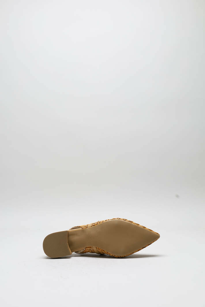 zoom in on Camel Ballerina image Camel Ballerina image