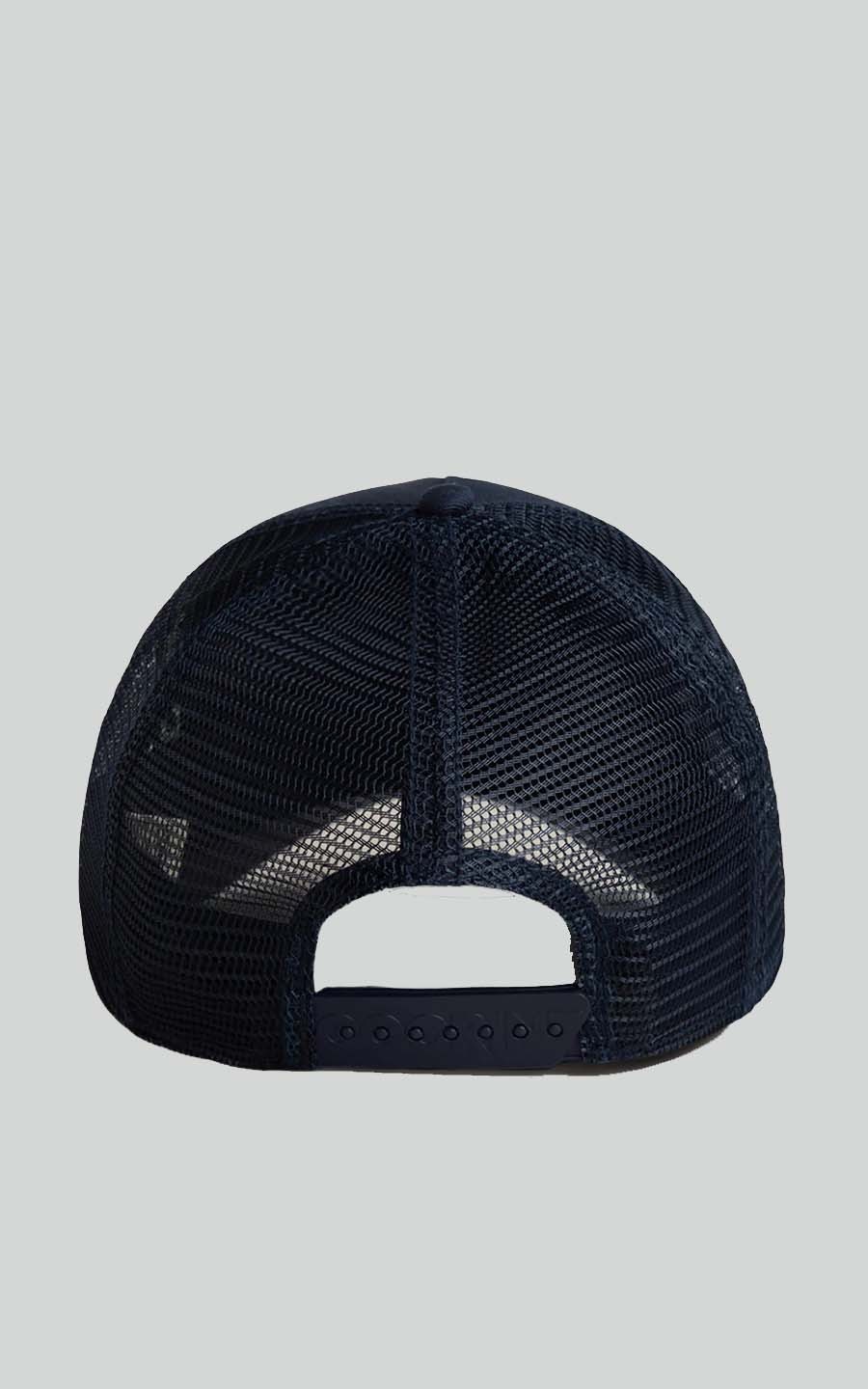 Blauw Hoed/pet/muts image