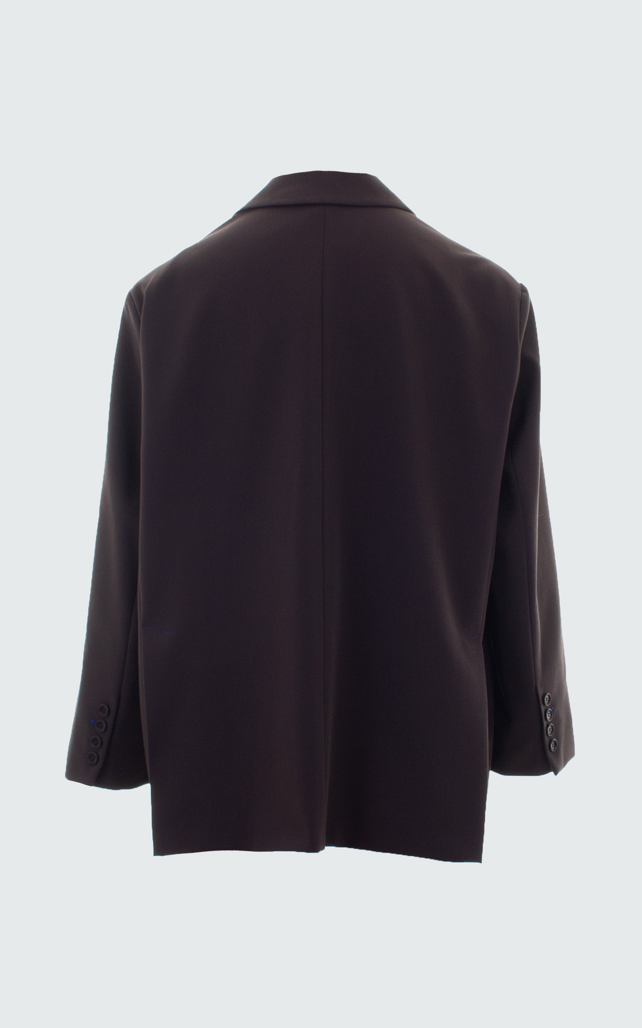Bruin Blazer image