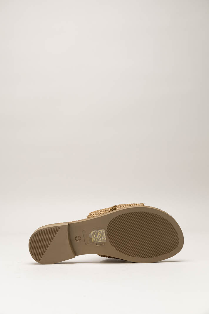 Bruin Slipper image