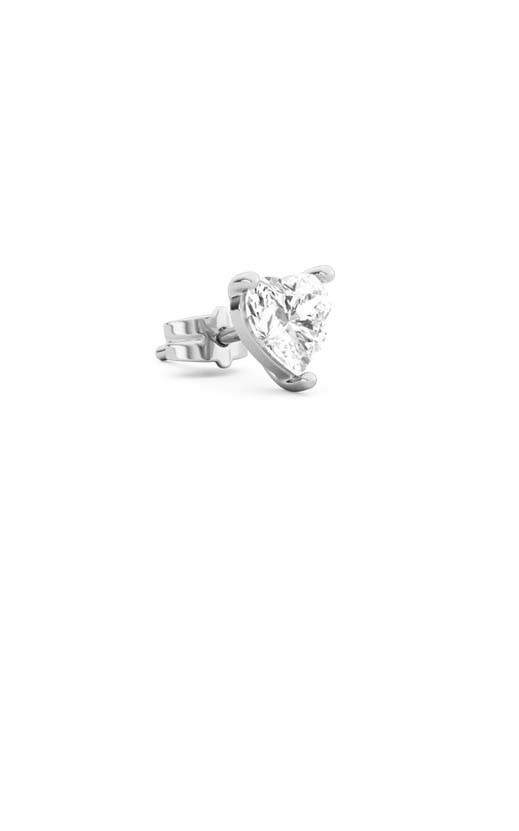 Zilver Oorbellen image
