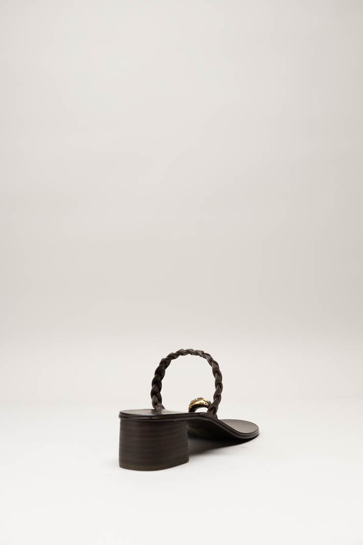 Donkerbruin Muiltje image