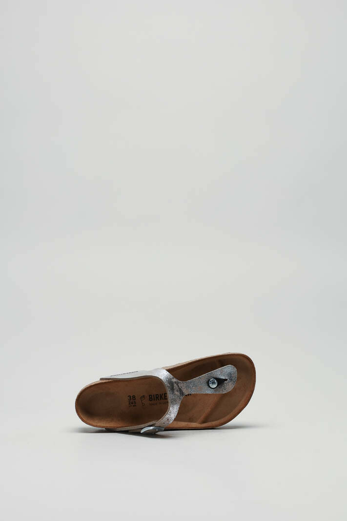 zoom in on Zilver Slipper image Zilver Slipper image