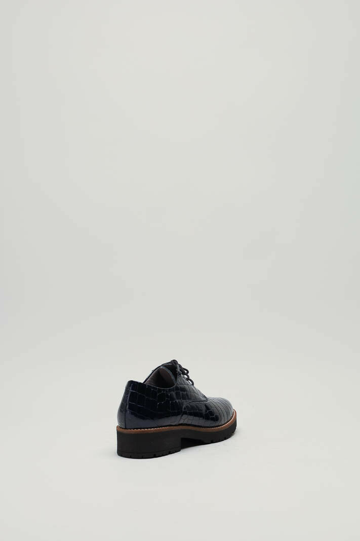 zoom in on Blauw Veterschoen image Blauw Veterschoen image