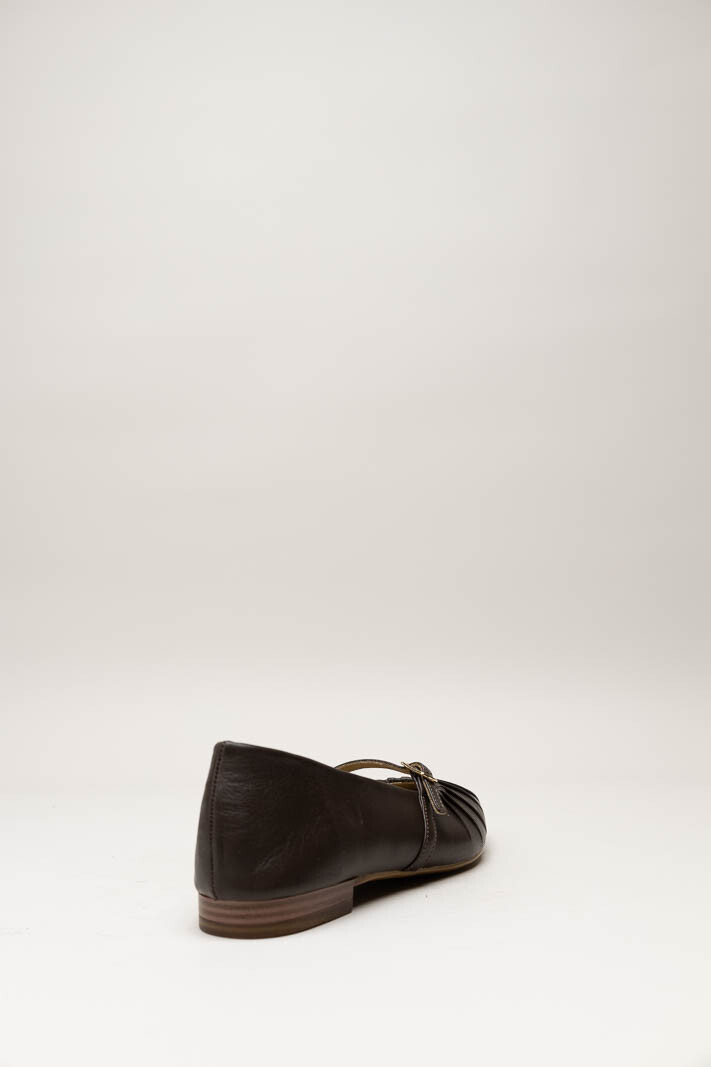 Donkerbruin Ballerina image