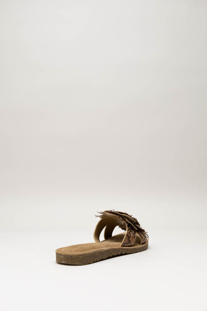 Bruin Slipper image