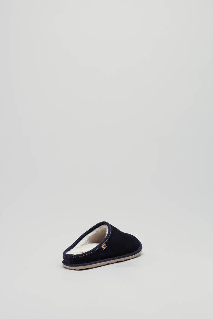 zoom in on Blauw Pantoffel image Blauw Pantoffel image