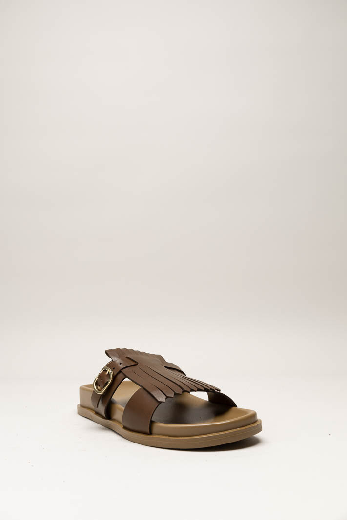 Bruin Slipper