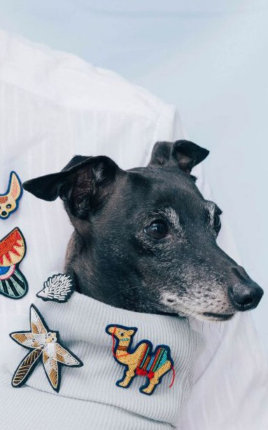 Geel Broches & pins image