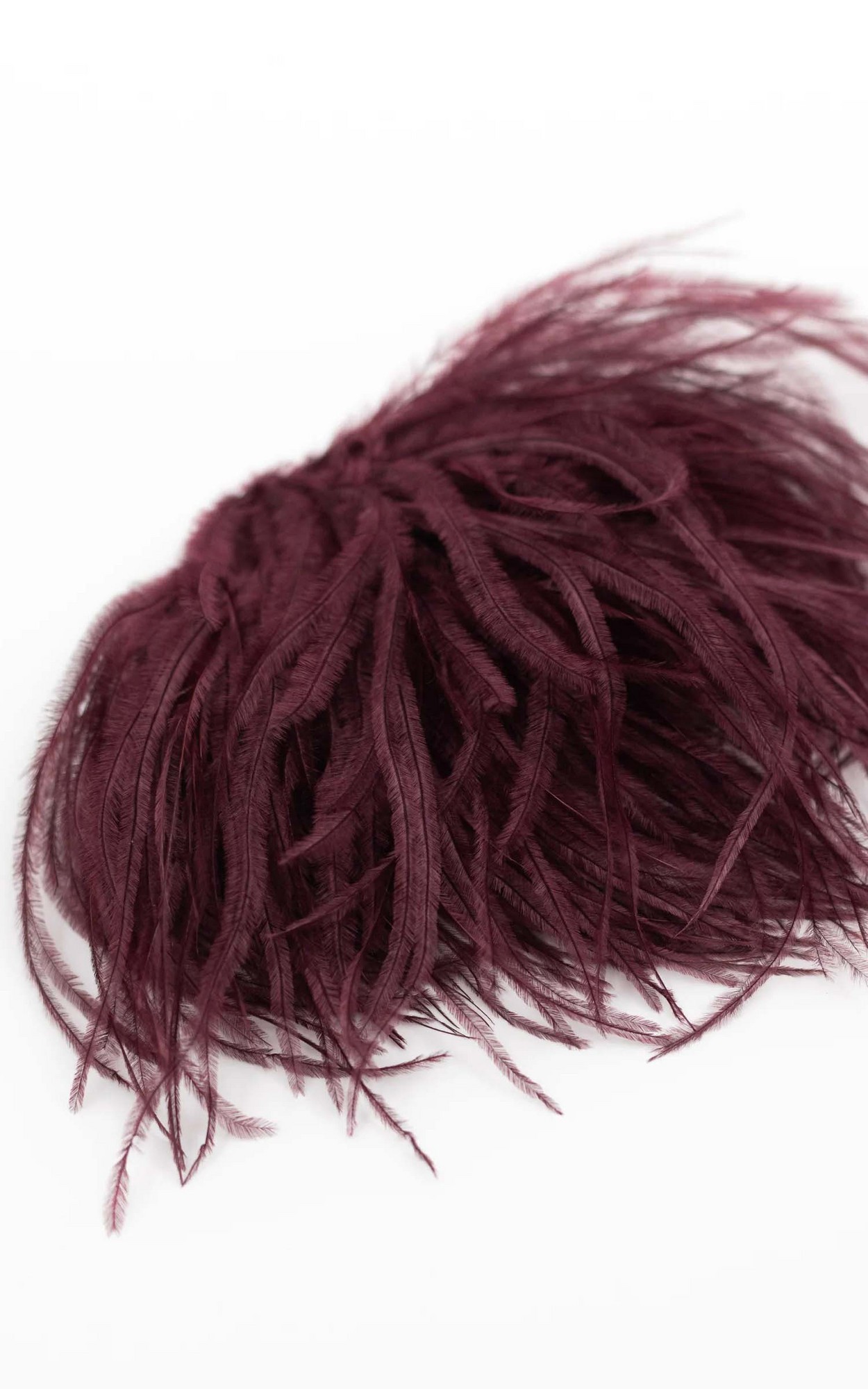 Bordeaux Broche image