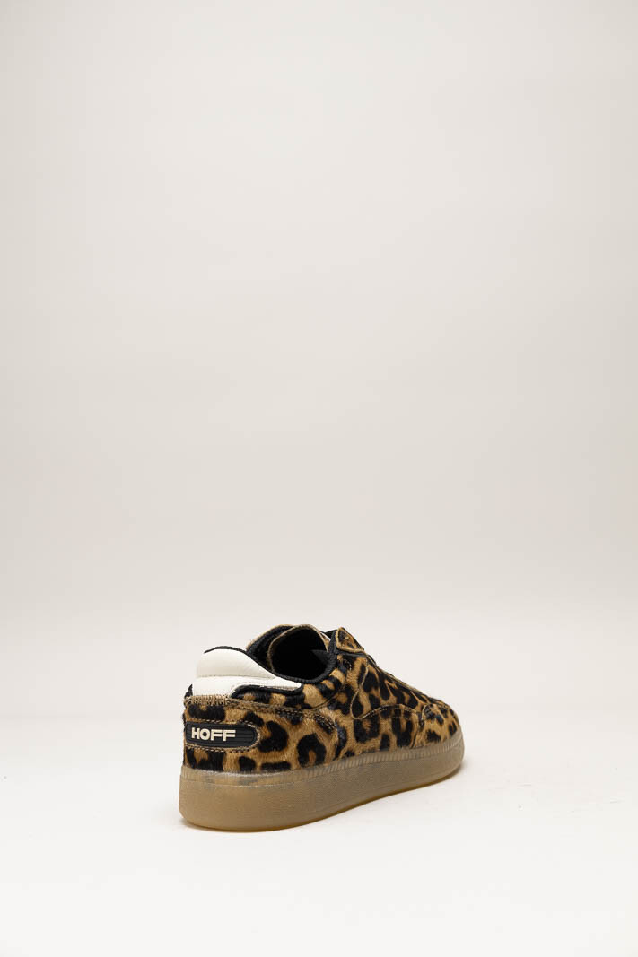 Bruin Sneaker image