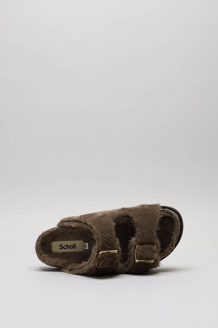 zoom in on Bruin Slipper image Bruin Slipper image