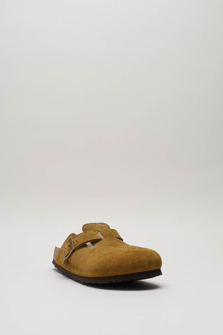 Camel Muiltje