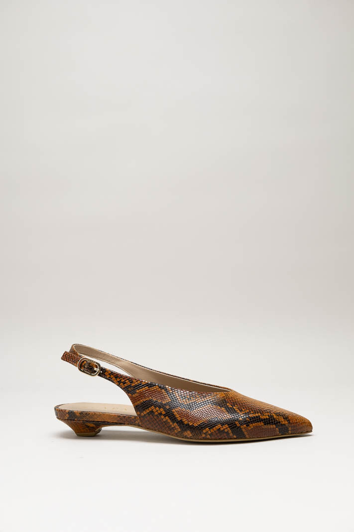 Roestbruin Ballerina