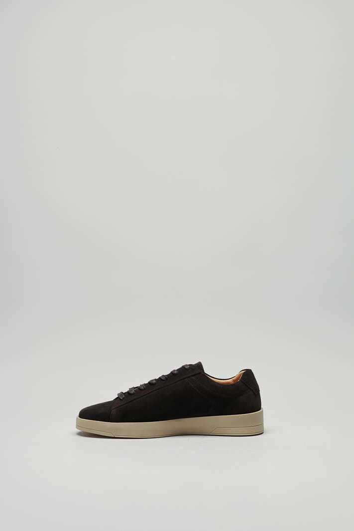 zoom in on Bruin Sneaker image Bruin Sneaker image