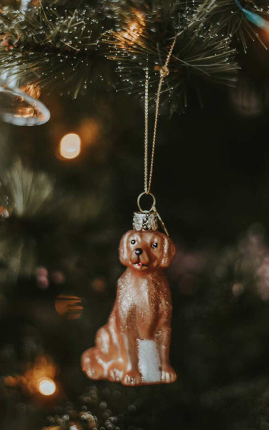 Bruin Woonaccessoires image