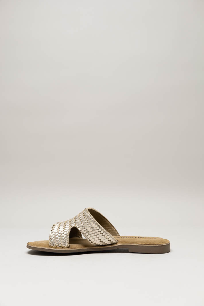 Goud Slipper image