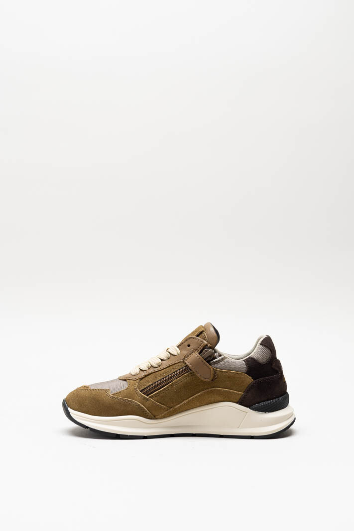 Bruin Sneaker image