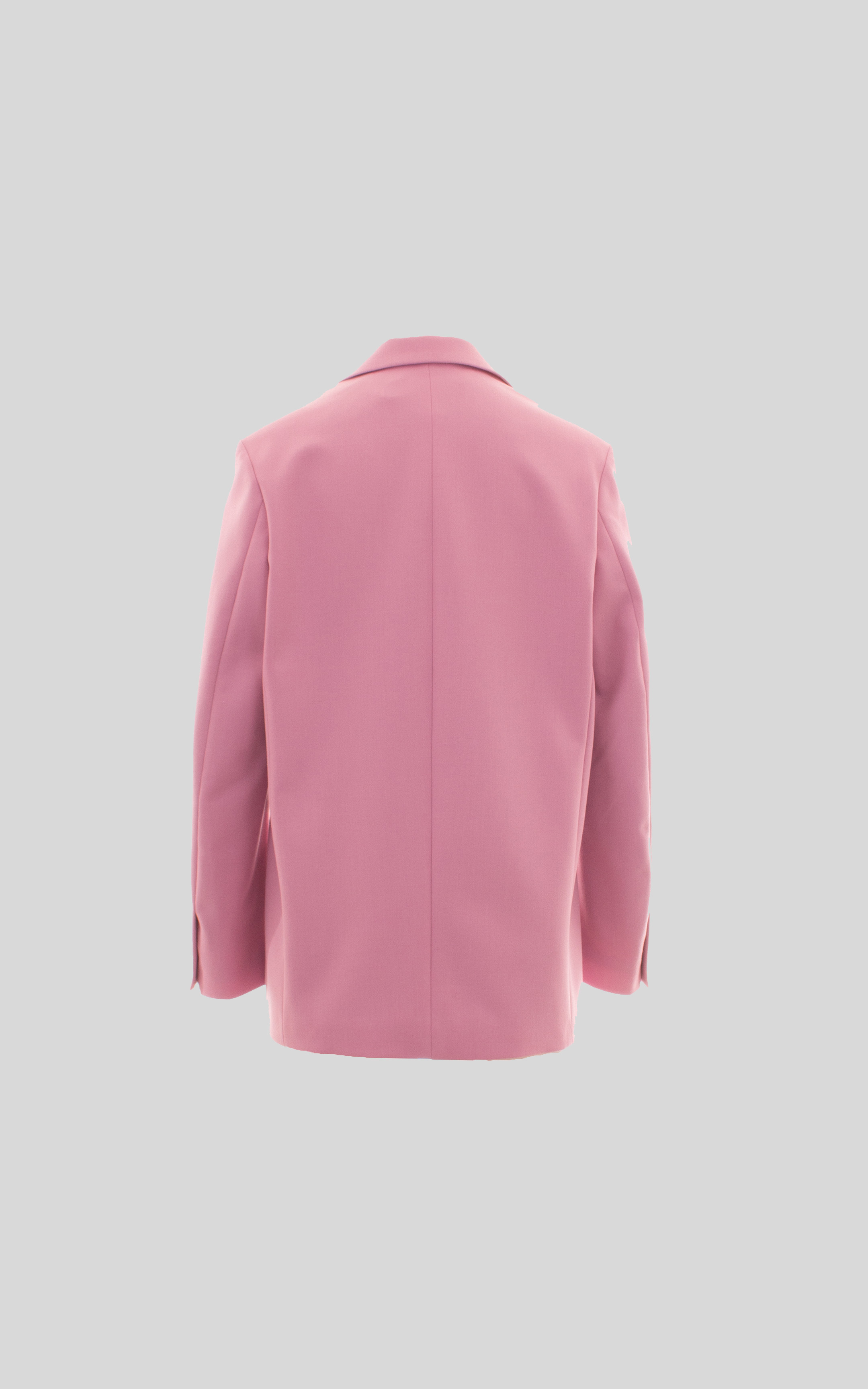 zoom in on Roze Blazer image Roze Blazer image