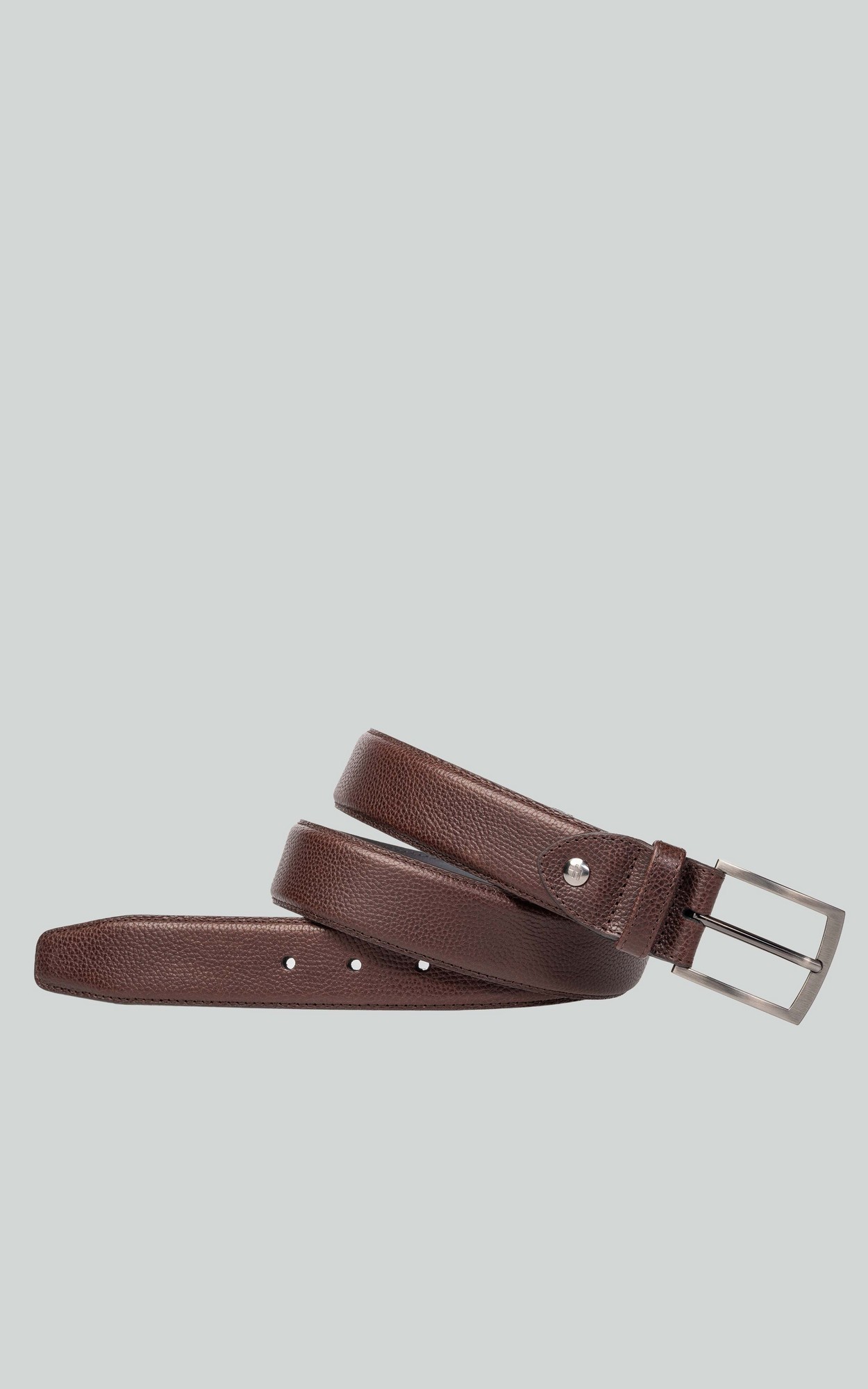 Bruin Riem