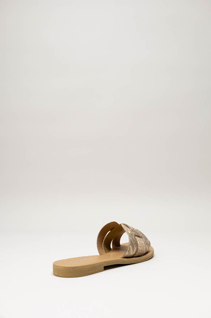 Goud Slipper image