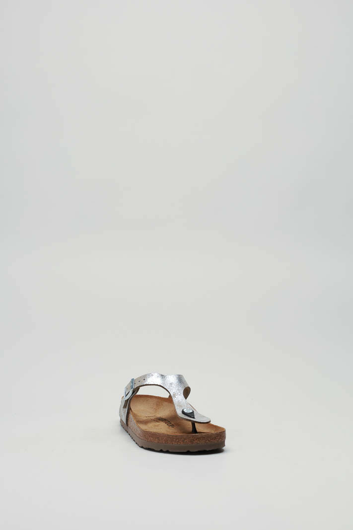 zoom in on Zilver Slipper image Zilver Slipper image