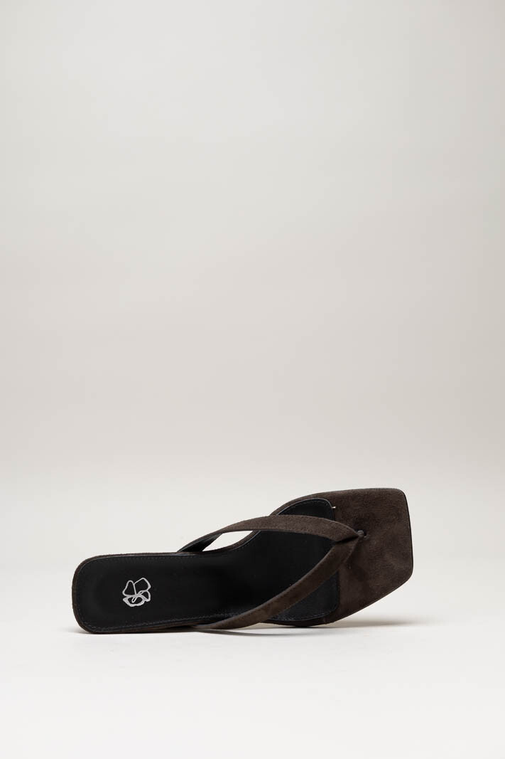 Donkerbruin Muiltje image